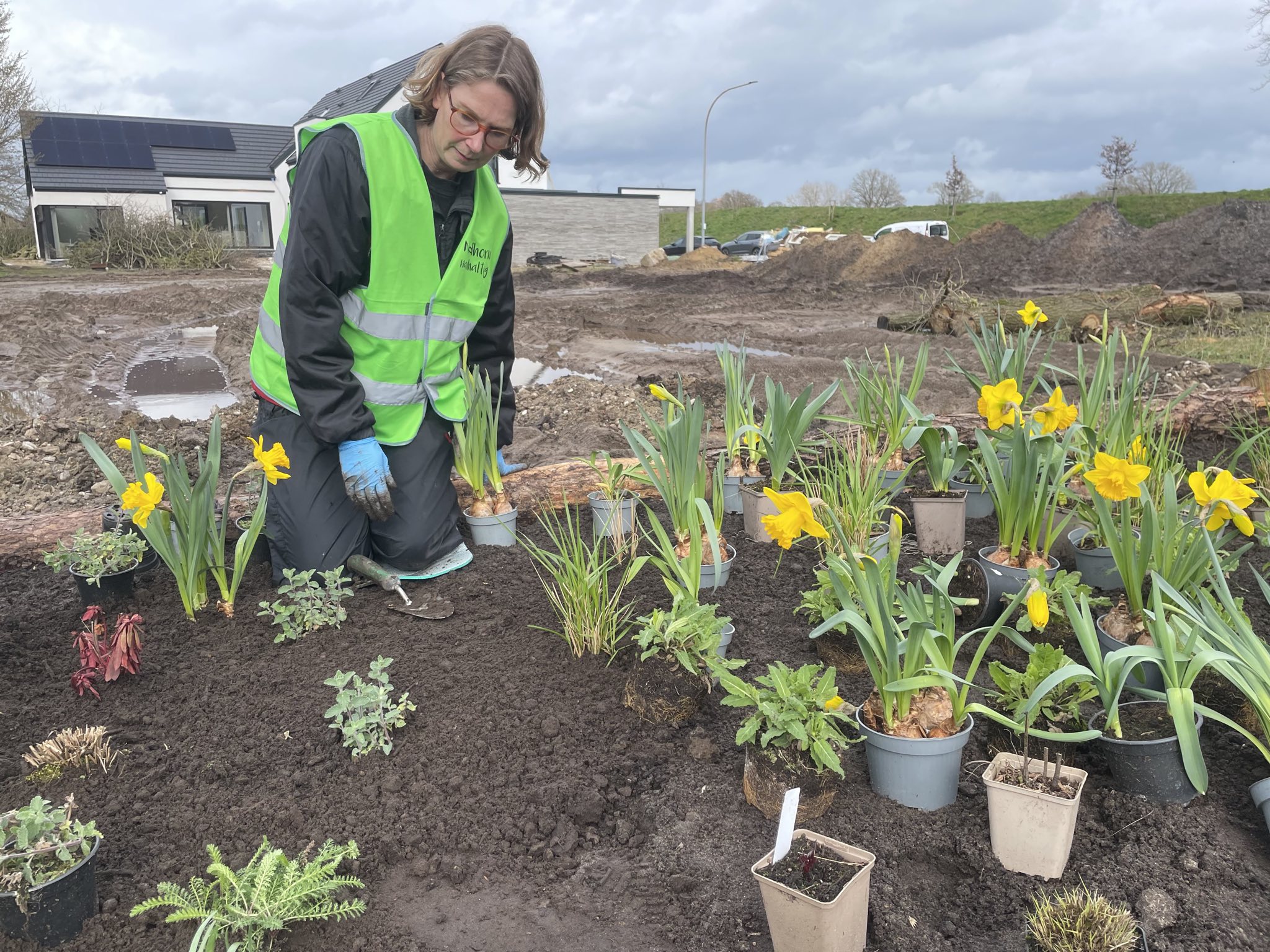 Rettet die Ein Musterbeet für alle Gartenbesitzer*innen